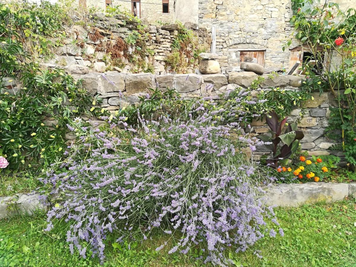 Apartmán Casa La Abadia De Antin Liguerre de Ara Exteriér fotografie